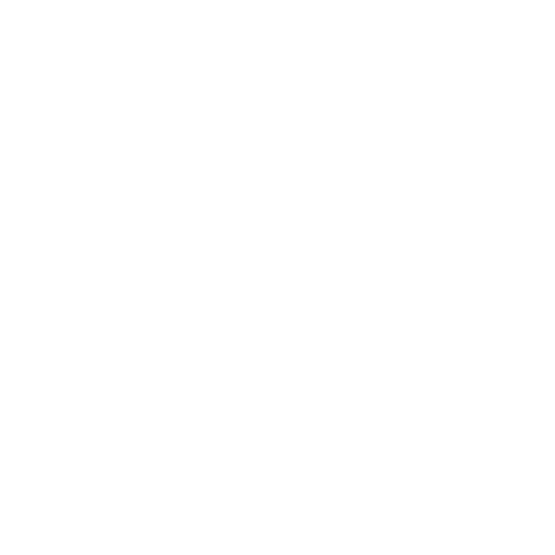 Foliex logo