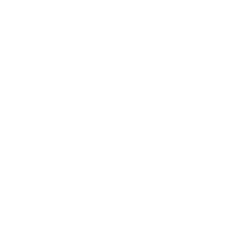 Gografix logo